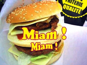 Mille et une frites mons livraison